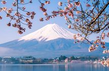 Tokyo Mt Fuji Trip with Kawaguchiko Ropeway and Matcha Tea
