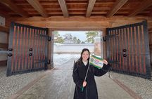 True Kanazawa: Experience Traditional Crafts walk with a Local 