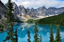 Lake Louise,Moraine Lake,Emerald Lake Day Trip from Banff/Calgary