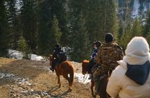 2 Day Tour Explore Charyn Canyons Kolsay and Kaindy Lake