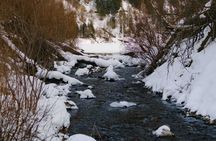2 Day Tour Explore Charyn Canyons Kolsay and Kaindy Lake