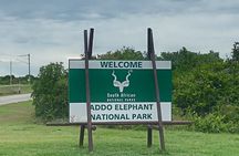 Port Elizabeth Half-Day Addo Elephant National Park Tour 