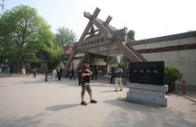One Day Mini Group Xi’an City Tour, No Shopping