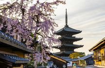 Kyoto Gion Early Morning Walking Tour