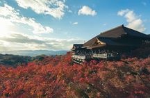 Kyoto Gion Early Morning Walking Tour