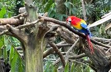 Monkey, Sloth and Jaco Beach Adventure