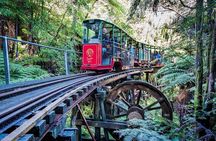 Coromandel Train Scenic Journey Through the Woods