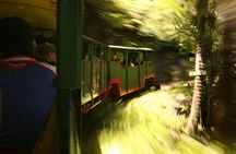 Coromandel Train Scenic Journey Through the Woods