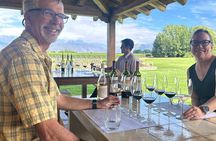 Lujan de Cuyo Hidden Wineries Tour With A Wine Maker's Guide