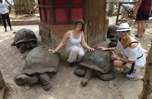 Zanzibar Stone Town, Prison Island and Spice Farm Private Tour.