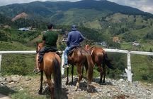 Scenic Horseback Riding in the Medellín Mountains