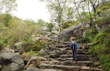 Majestic Hike Experience to Preikestolen with Local Guide