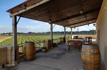 Malta: 2-Hours Wine Tasting Experience with Food Pairings