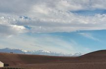 Agafay desert dinner &chow Camel ride 