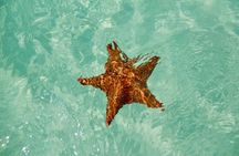 El cielo Cozumel From Cancún and round Transfer with Lunch