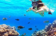 El cielo Cozumel From Cancún and round Transfer with Lunch