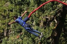 Garden Route Private Tour Cape Town to Knysna & Beyond