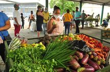 Higuey expedition cultural and historical tour from Punta Cana