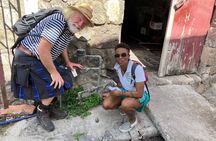 Discovery of Reed History Culture and Urban Plants