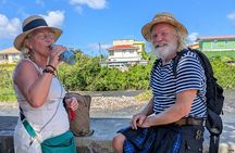 Discovery of Reed History Culture and Urban Plants