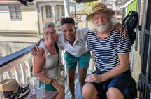 Discovery of Reed History Culture and Urban Plants