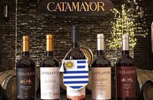 Tour with Premium Tasting