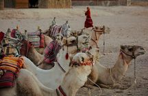 4-day tour from Marrakech to Merzouga