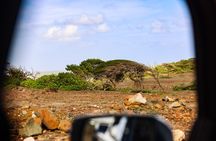 Private and Customized Aruba 4X4 Jeep Adventure