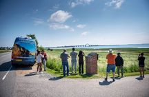 Møns klint and The Forest tower - A day tour from Copenhagen