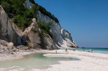 Møns klint and The Forest tower - A day tour from Copenhagen