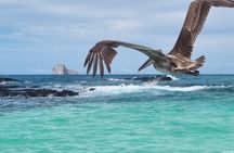San Cristobal Snorkel360° from Cristobal (From Cristobal)