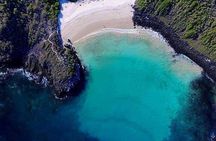 San Cristobal Snorkel360° from Cristobal (From Cristobal)