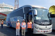 From TPP Pisco: Islands Tours & Paracas Reserve all Inclusive