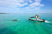 Guided Jet Ski Dolphin Tour - Destin, Florida