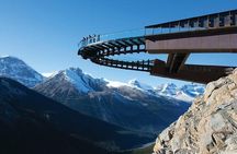 Columbia lcefield,Peyto Lake,Bow Lake Day Trip from Banff/Calgary