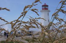 Seascape Excursions of Nova Scotia