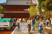 Tokyo: 3-Hour Bike/E-Bike Tour of the City's Hidden Gems