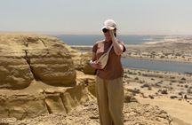 Jeep Safari Valley of the Whales Oasis Fayoum and Sandboarding