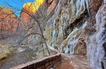 Small Group Zion National Park In-Depth Hiking Tour from LasVegas