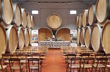 Authentic Marsala Wine Tasting Experience in a Historic Winery