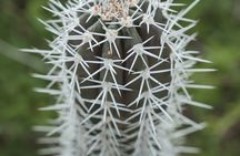 4 hour Individual Island Tour for 1 to 12 persons