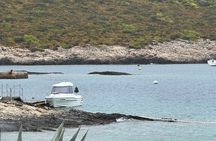 Split: Private Speedboat Charter & All inclusive 