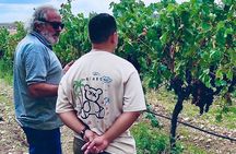 Visit Cuenca and a Vineyard in Spanish Tuscany from Madrid