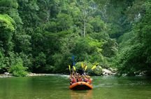 Rio Claro Full Rafting Tour from Medellin with Lunch