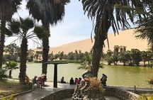 Lima: Paracas and Huacachina Oasis Day Trip with Wine and Dunes