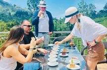 Nuwara eliya day tour from Kandy 