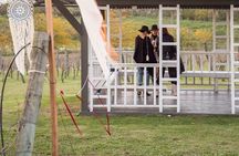 Vineyard Tour with Wine Tasting and Lunch in Buenos Aires