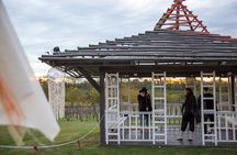 Vineyard Tour with Wine Tasting and Lunch in Buenos Aires