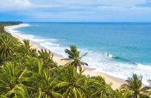 9 Days Sri Lanka Southern Tour. Driver, Vehicle B/B Accomodations