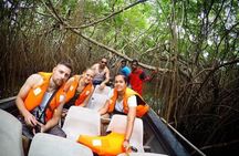 9 Days Sri Lanka Southern Tour. Driver, Vehicle B/B Accomodations